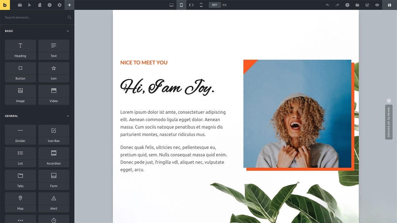 WordPress主题Bricks v1.9 破解版-明楼资源站