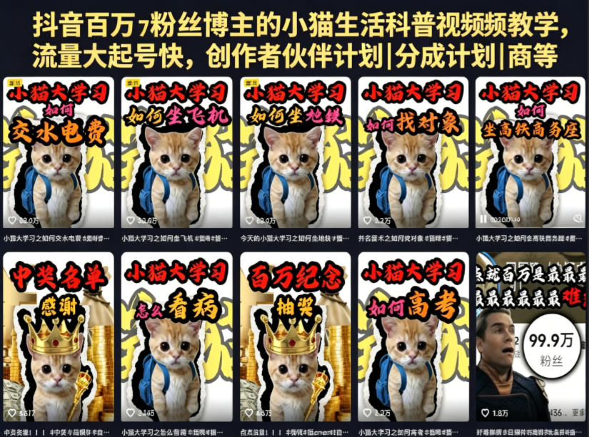 抖音百万粉丝博主的小猫生活科普视频教学，流量大起号快，创作者伙伴计划|分成计划|商单|收徒等-明楼资源站