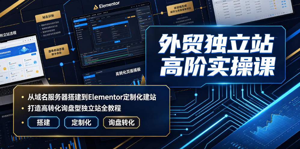 外贸独立站高阶实操课|从域名服务器搭建到Elementor定制化建站,打造高转化询盘型独立站全教程