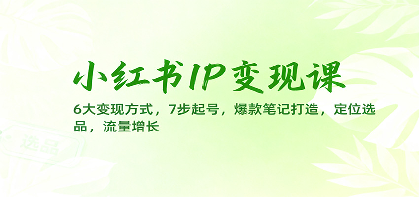 小红书IP变现课：6大变现方式，7步起号，爆款笔记打造，定位选品，流量增长-明楼资源站
