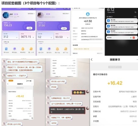 当天能收益的3个小项目拆解_包括平台+操作流程-明楼资源站