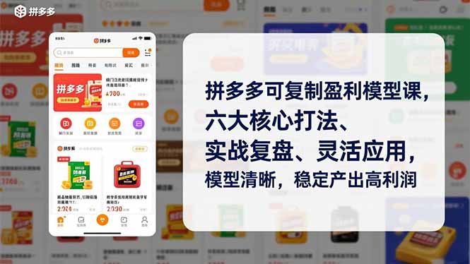 拼多多可复制盈利模型课，六大核心打法、实战复盘、灵活应用，模型清晰，稳定产出高利润-明楼资源站