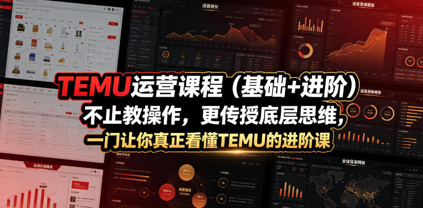 TEMU运营课程(基础+进阶)，不止教操作，更传授底层思维，一门让你真正看懂TEMU的进阶课-明楼资源站