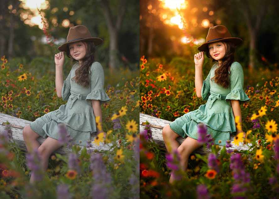 大师级GTG出品-老友记系列AI自适应预设The Friends Preset Collection-明楼资源站