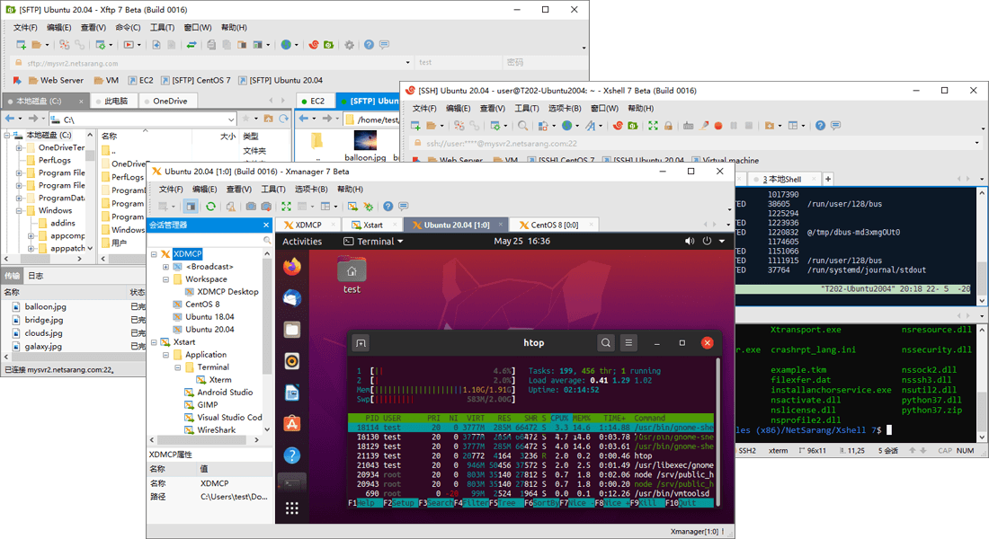 Xmanager8/Xshell8/Xftp8 Xmanager8/Xshell8/Xftp8