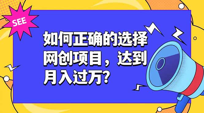 如何正确的选择网创项目，达到月入过万？，本课程教你正确选择项目。-明楼资源站