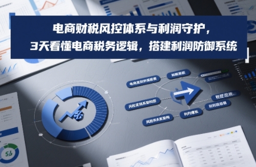 电商财税风控体系与利润守护，3天看懂电商税务逻辑，搭建利润防御系统-明楼资源站