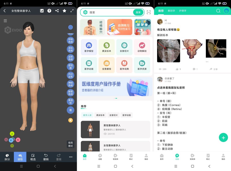 医维度解剖3.3.21一键解刨｜医学知识｜一键脱衣等-明楼资源站