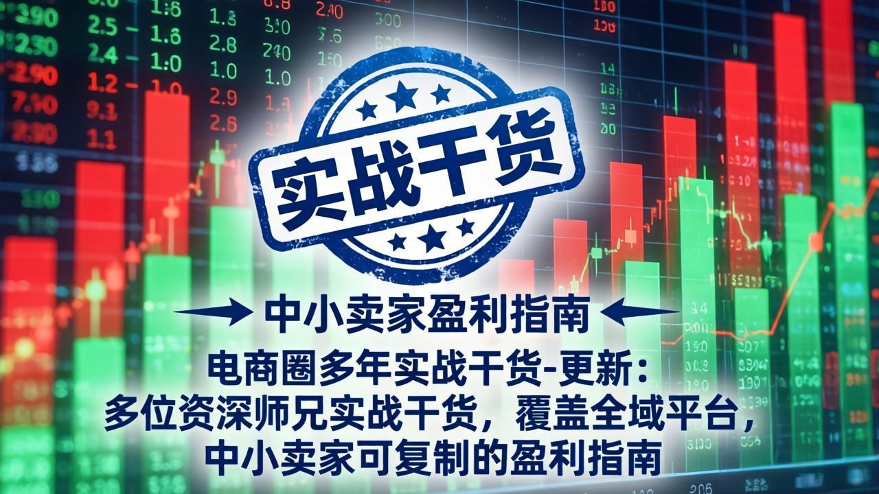 电商圈多年实战干货-更新4月：多位资深师兄实战干货，覆盖全域平台，中小卖家可复制的盈利指南-明楼资源站