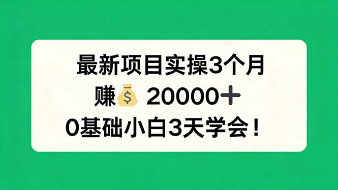 最新项目实操3个月，赚钱20000+，0基础小白3天学会！-明楼资源站