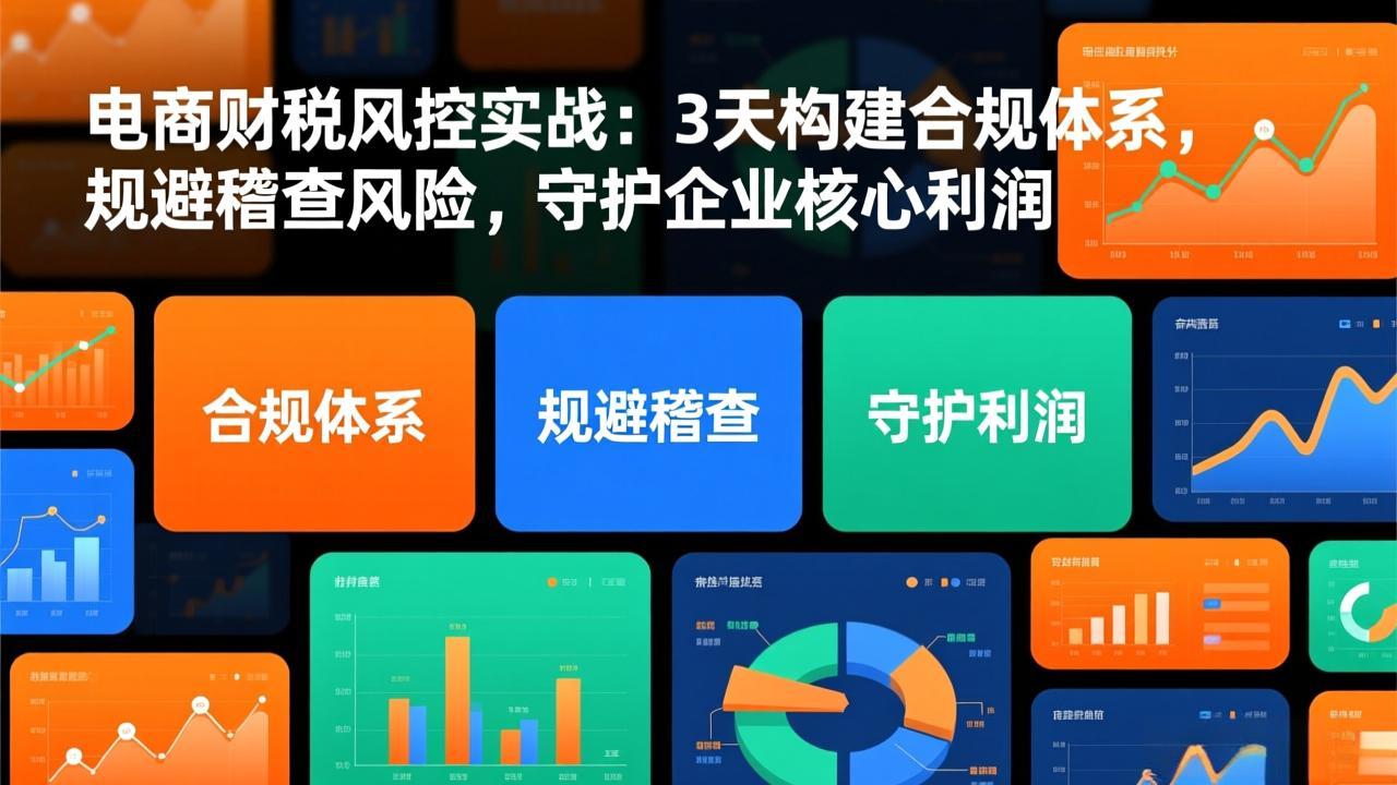 电商财税风控实战：3天构建合规体系，规避稽查风险，守护企业核心利润-明楼资源站