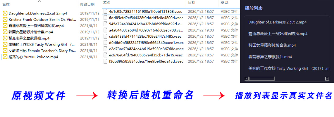 老司机隐私播放器SecureVault Player V0.8.9-明楼资源站